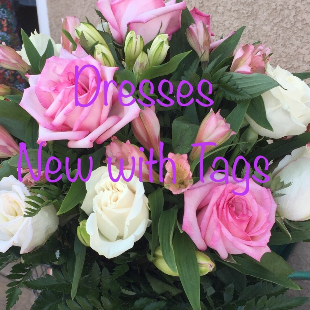 My Closet Fabulous Dresses NWT 🌺🥰